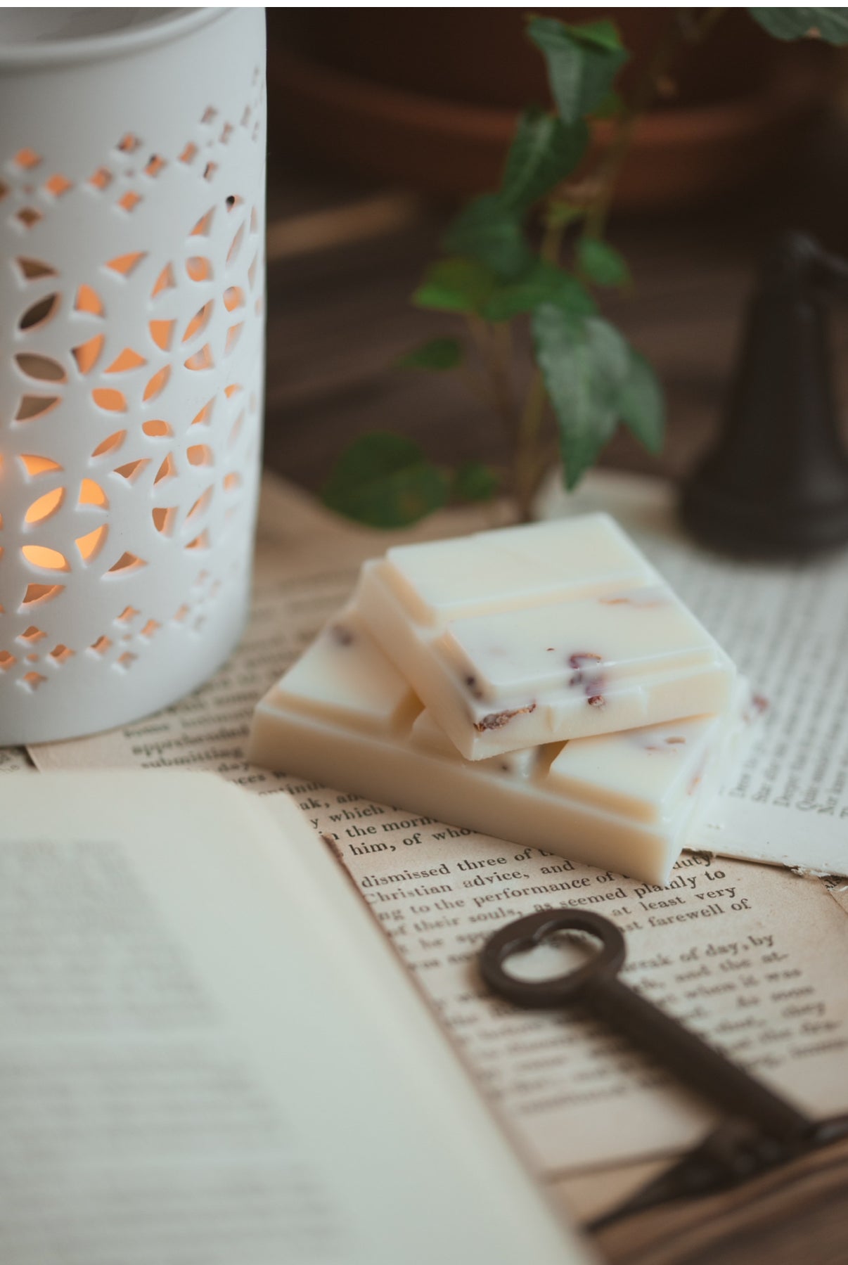 Luxury soy wax melt snap bars with dried botanicals, styled beside a lit ceramic wax burner and vintage decor for a cozy, aromatic atmosphere.