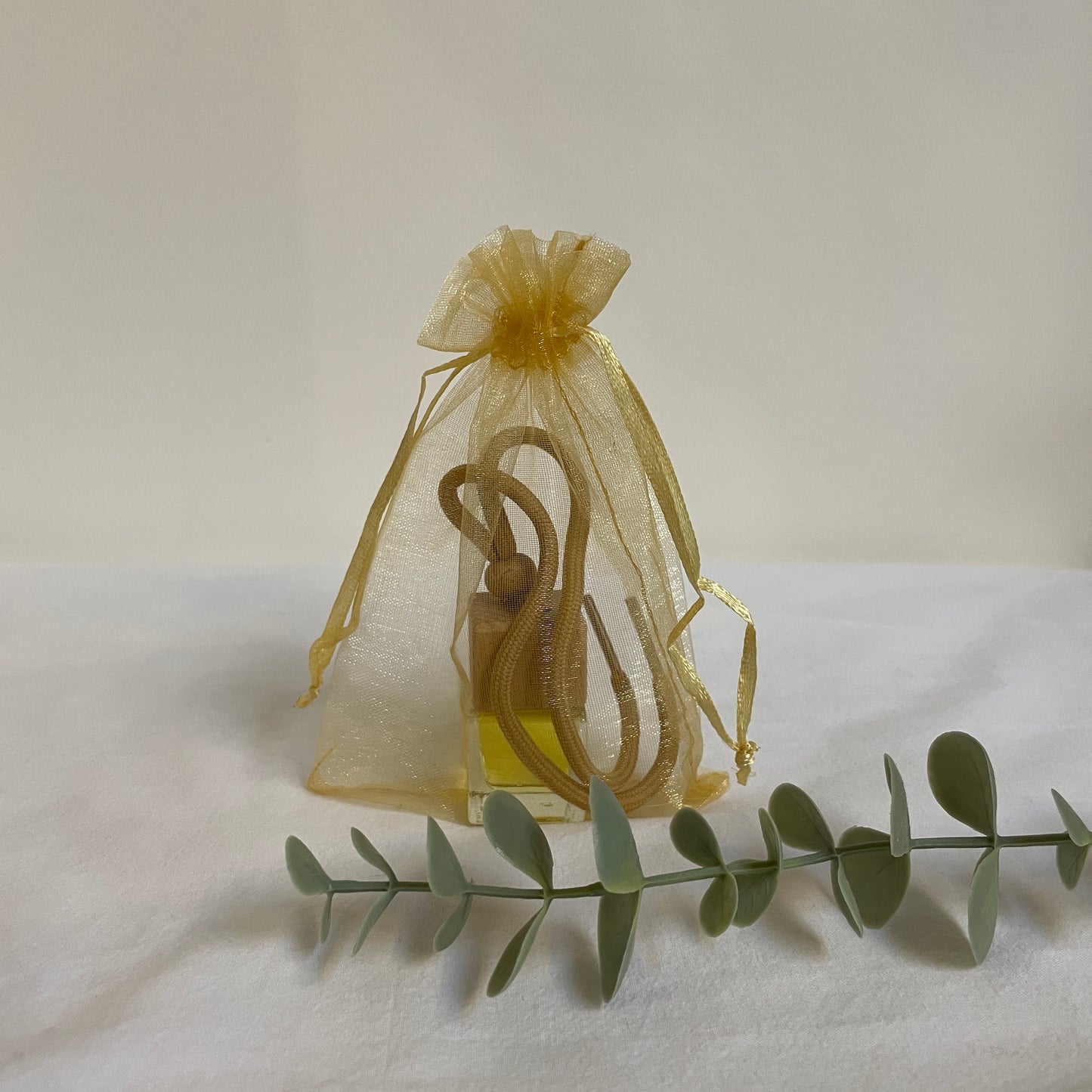 Car defuser in fabric bag with foliage in front 