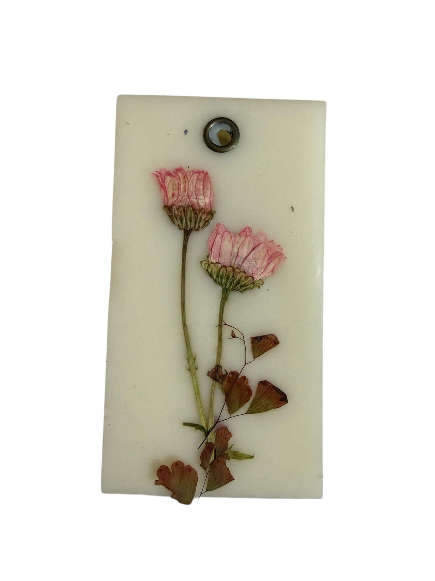 Hand Poured Soy Wax Scented Wardrobe Hangers with Dried Botanicals | Luxury Floral Air Freshener Gift | Orchard Bloom, Sicilian Spice, Lavender & Bergamot